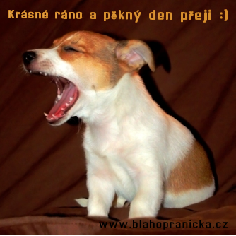 Zívající Jack